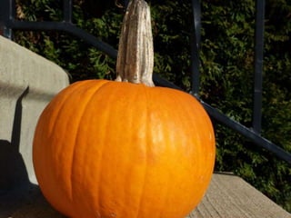 Camera assignment #4