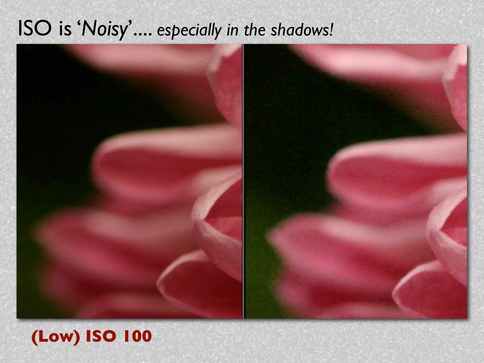 ISO is ‘Noisy’.... especially in the shadows!




 (Low) ISO 100
 
