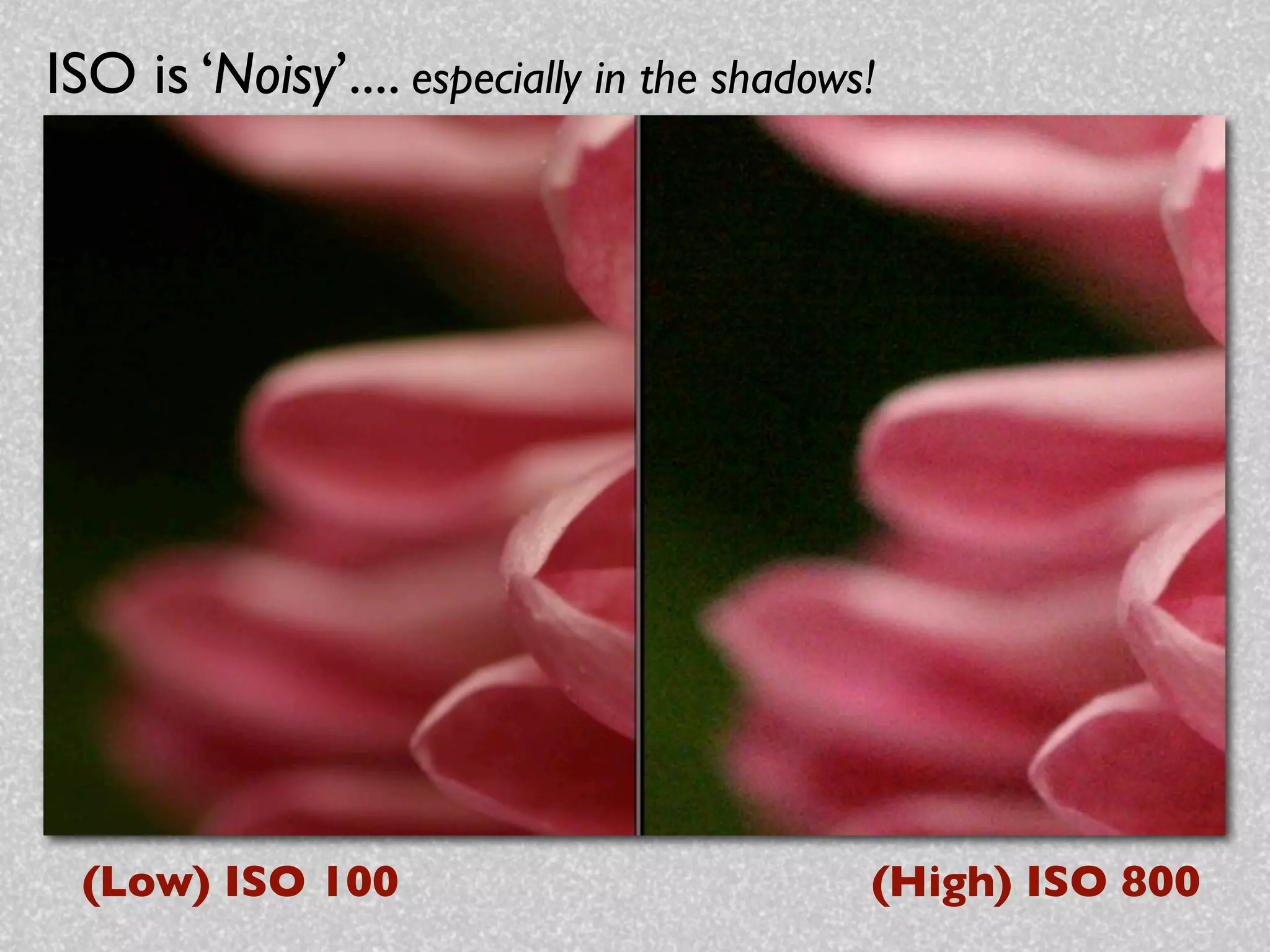 ISO is ‘Noisy’.... especially in the shadows!




 (Low) ISO 100                              (High) ISO 800
 