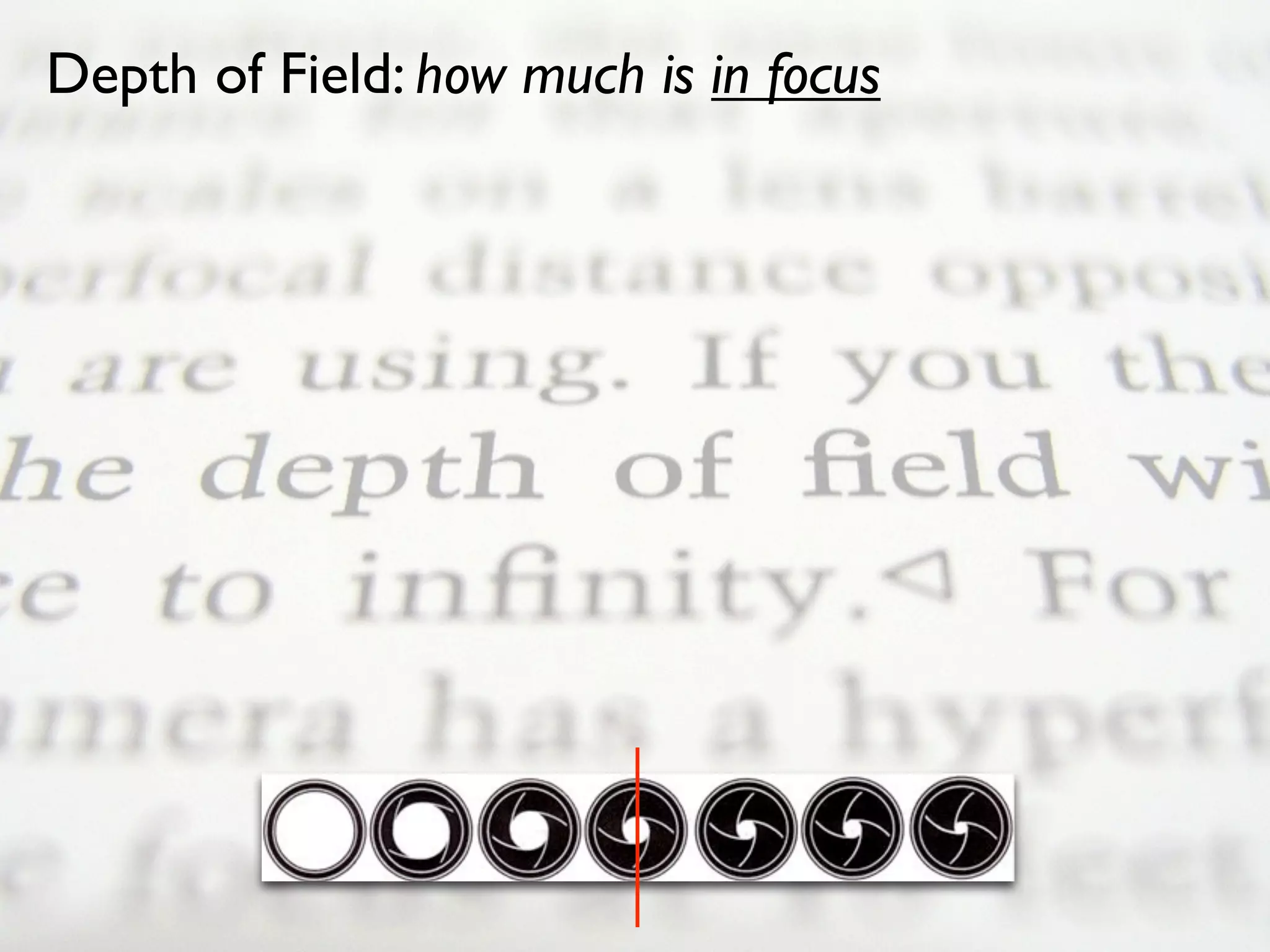 Depth of Field: how much is in focus
 