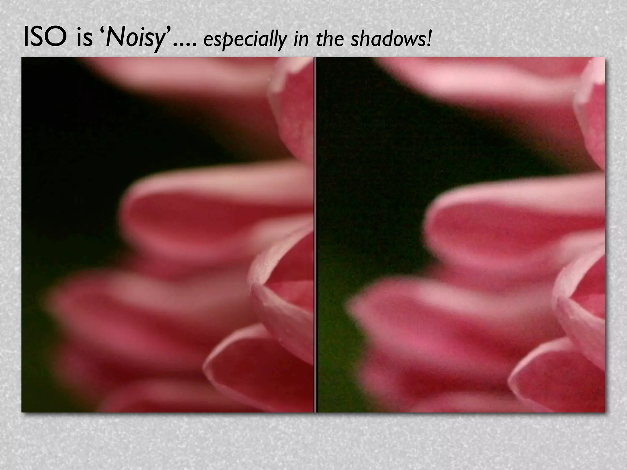 ISO is ‘Noisy’.... especially in the shadows!
 