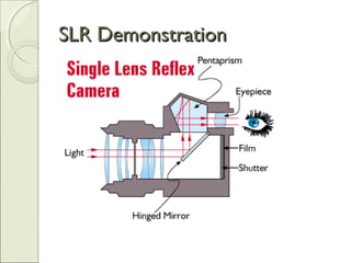 SLR DemonstrationSLR Demonstration
 
