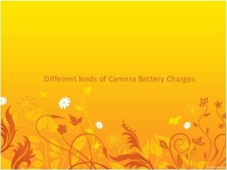 Different kinds of Camera Battery Charges

 