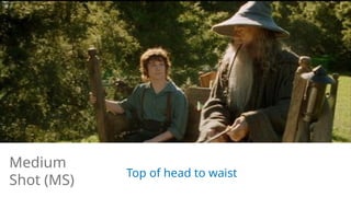 Top of head to waist
Medium
Shot (MS)
 