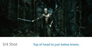 3/4 Shot Top of head to just below knees.
 