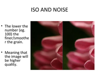 ISO AND NOISE

• The lower the
  number (eg.
  100) the
  finer/smoothe
  r the grain.

• Meaning that
  the image will
  be higher
  quality.
 