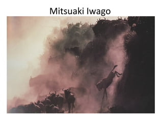 Mitsuaki Iwago
 