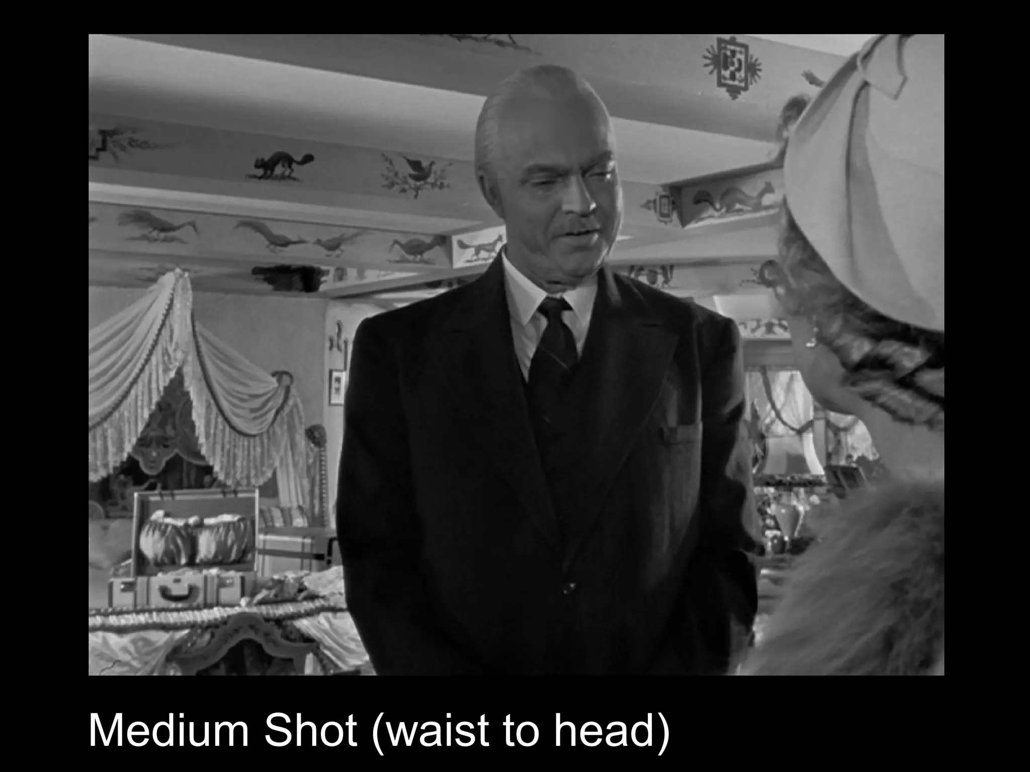 Medium Shot (waist to head)