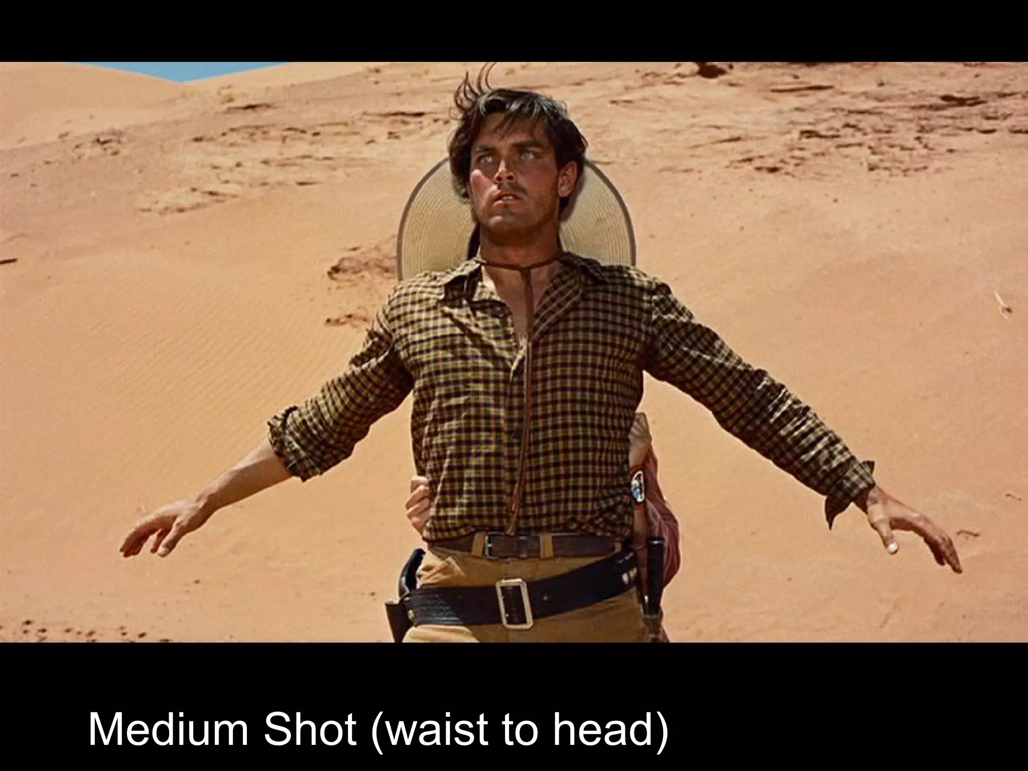 Medium Shot (waist to head)