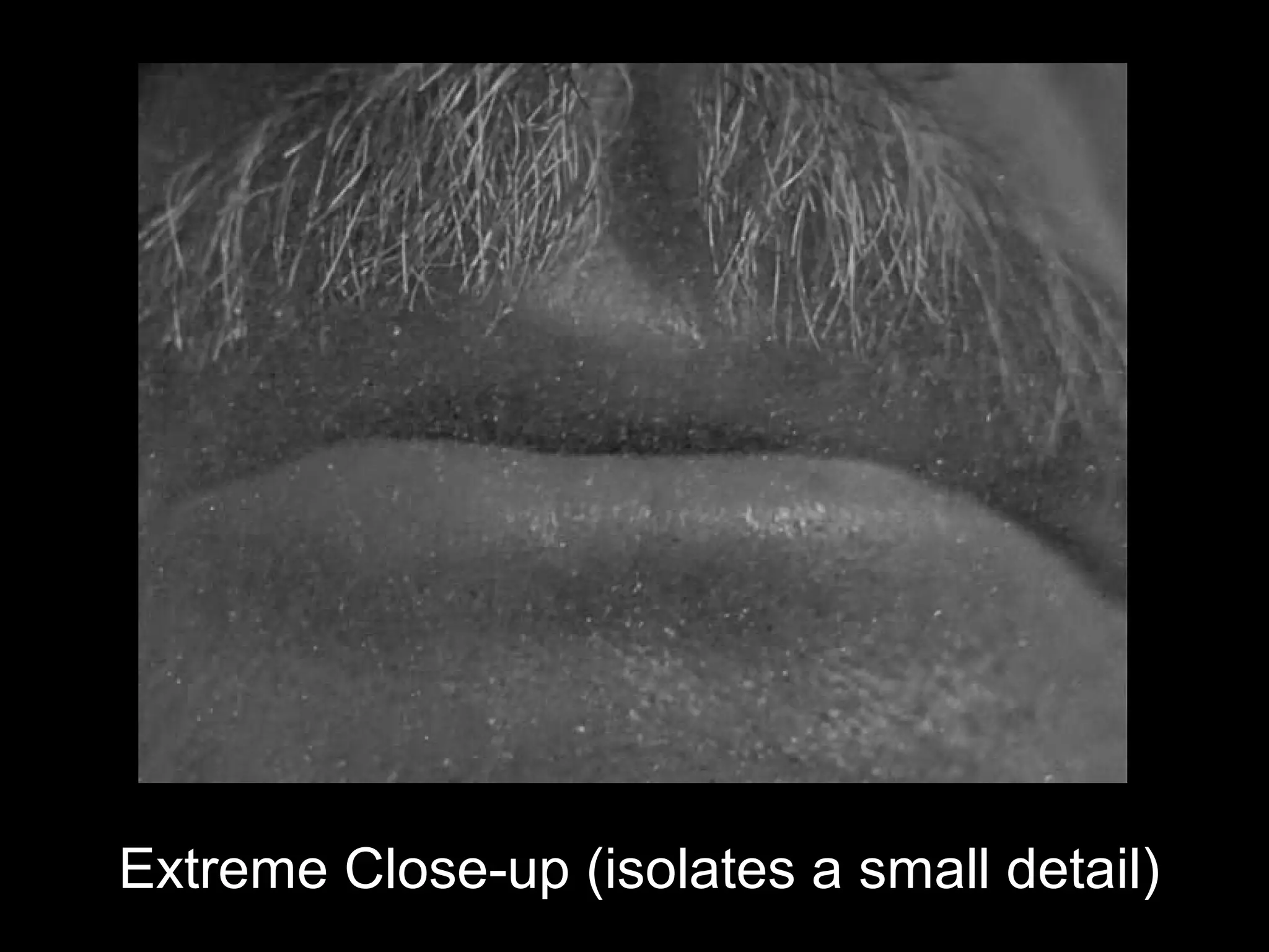 Extreme Close-up (isolates a small detail)
