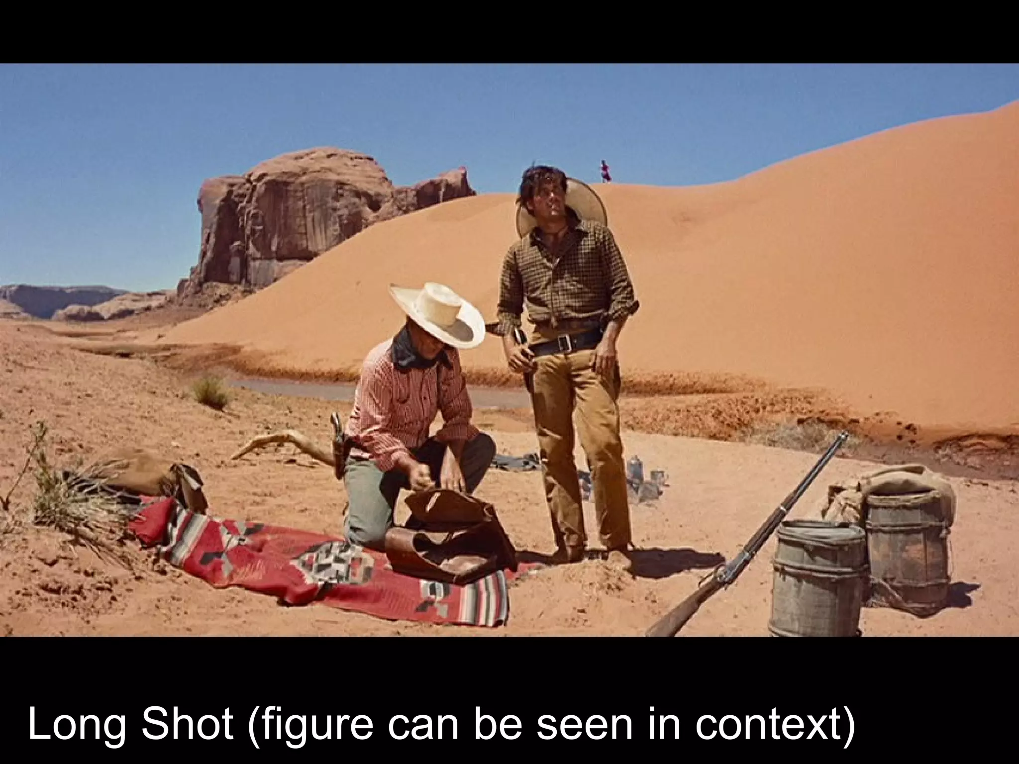 Long Shot (figure can be seen in context)