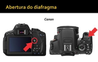 Canon 
 