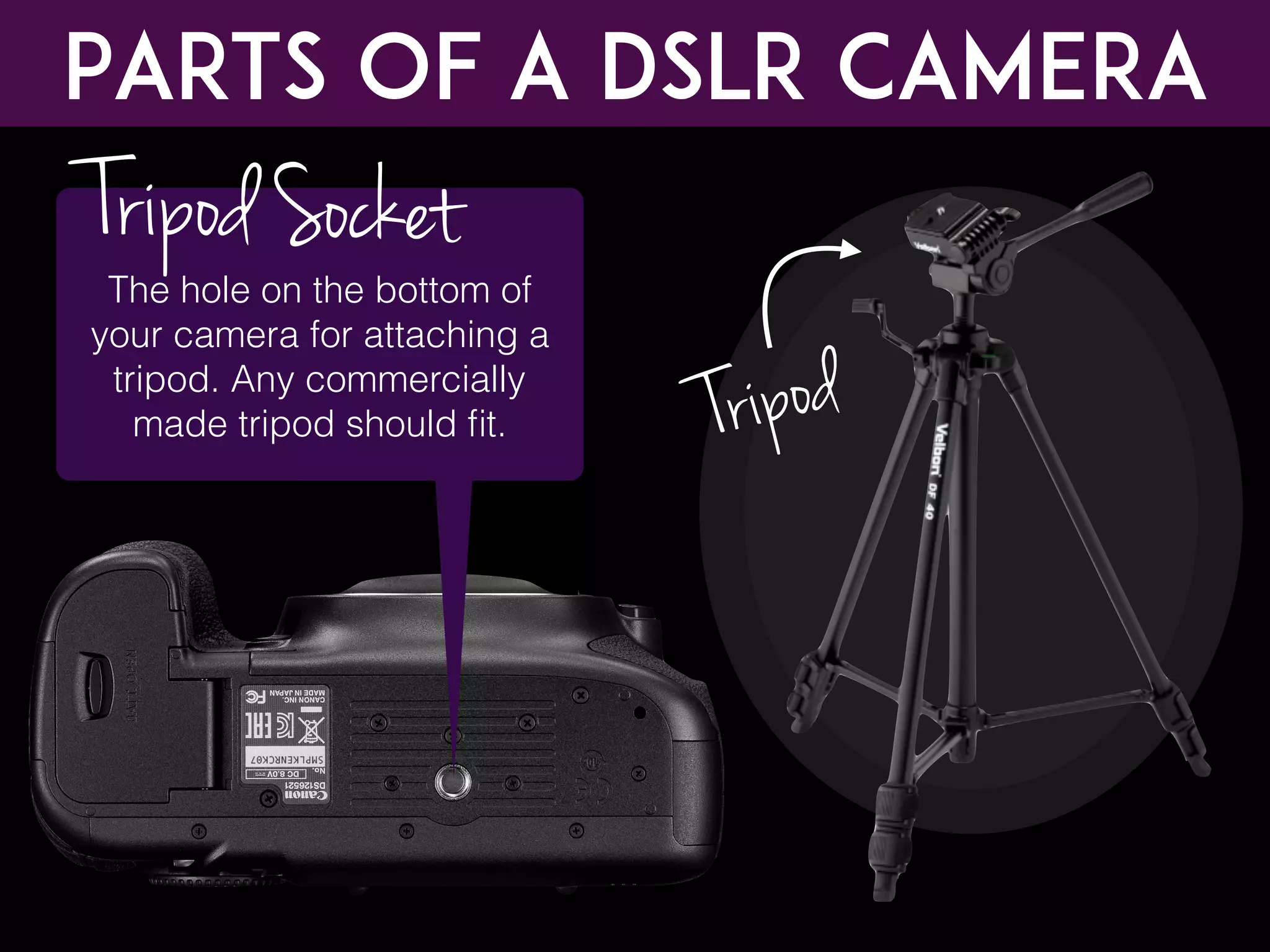 Parts of a DSLR CAMERA
The hole on the bottom of
your camera for attaching a
tripod. Any commercially
made tripod should ﬁt.
Tripod Socket
Tripod
 