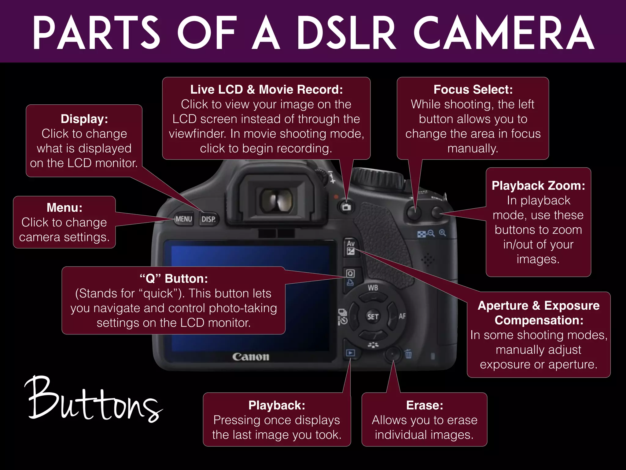 Parts of a DSLR CAMERA
Menu:
Click to change
camera settings.
Display:
Click to change
what is displayed
on the LCD monitor.
Playback Zoom:
In playback
mode, use these
buttons to zoom
in/out of your
images.
Focus Select:
While shooting, the left
button allows you to
change the area in focus
manually.
Erase:
Allows you to erase
individual images.
Playback:
Pressing once displays
the last image you took.
“Q” Button:
(Stands for “quick”). This button lets
you navigate and control photo-taking
settings on the LCD monitor.
Aperture & Exposure
Compensation:
In some shooting modes,
manually adjust
exposure or aperture.
Live LCD & Movie Record:
Click to view your image on the
LCD screen instead of through the
viewﬁnder. In movie shooting mode,
click to begin recording.
Buttons
 