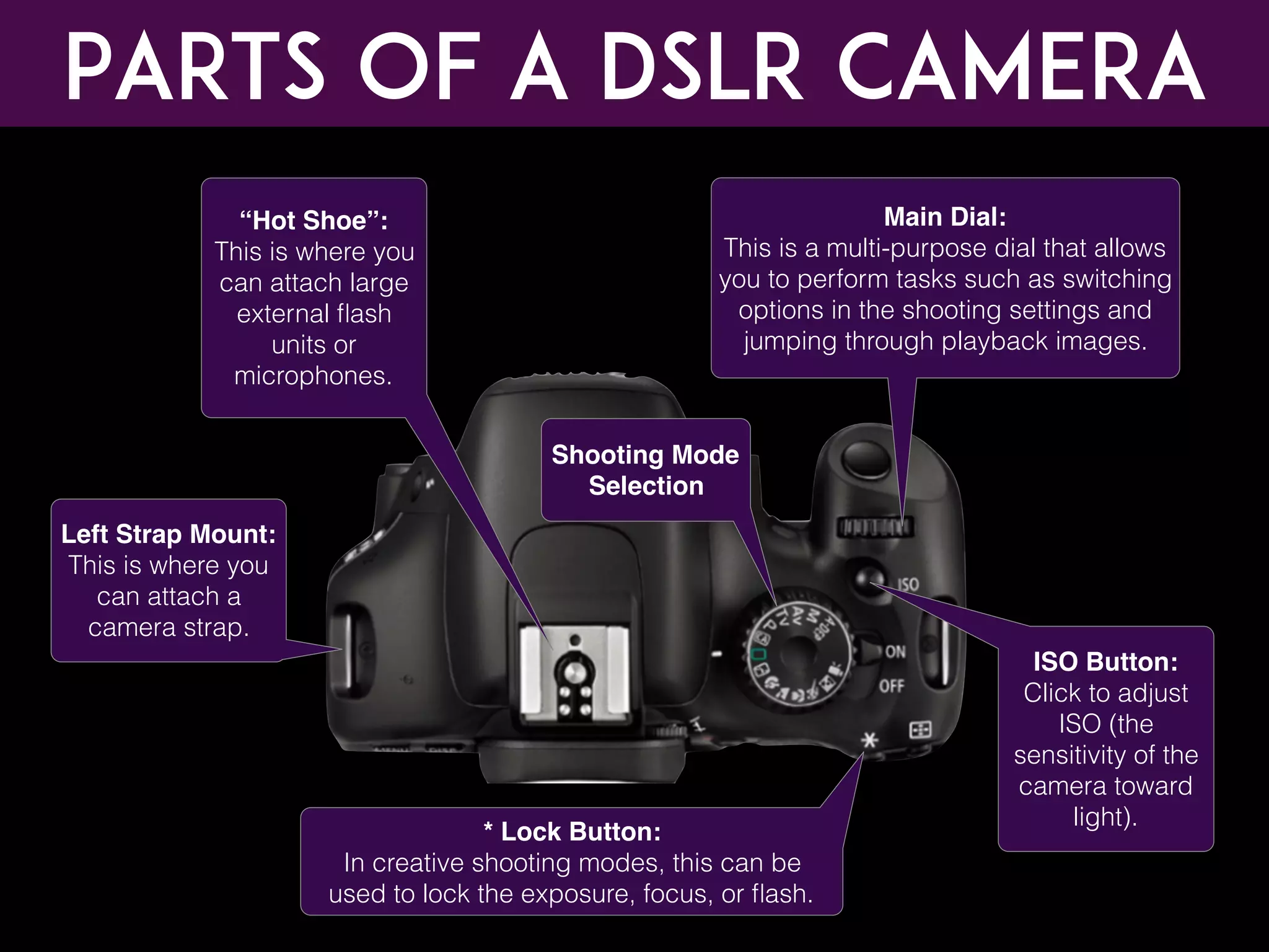 Parts of a DSLR CAMERA
Main Dial:
This is a multi-purpose dial that allows
you to perform tasks such as switching
options in the shooting settings and
jumping through playback images.
“Hot Shoe”:
This is where you
can attach large
external ﬂash
units or
microphones.
Left Strap Mount:
This is where you
can attach a
camera strap.
ISO Button:
Click to adjust
ISO (the
sensitivity of the
camera toward
light).
Shooting Mode
Selection
* Lock Button:
In creative shooting modes, this can be
used to lock the exposure, focus, or ﬂash.
 