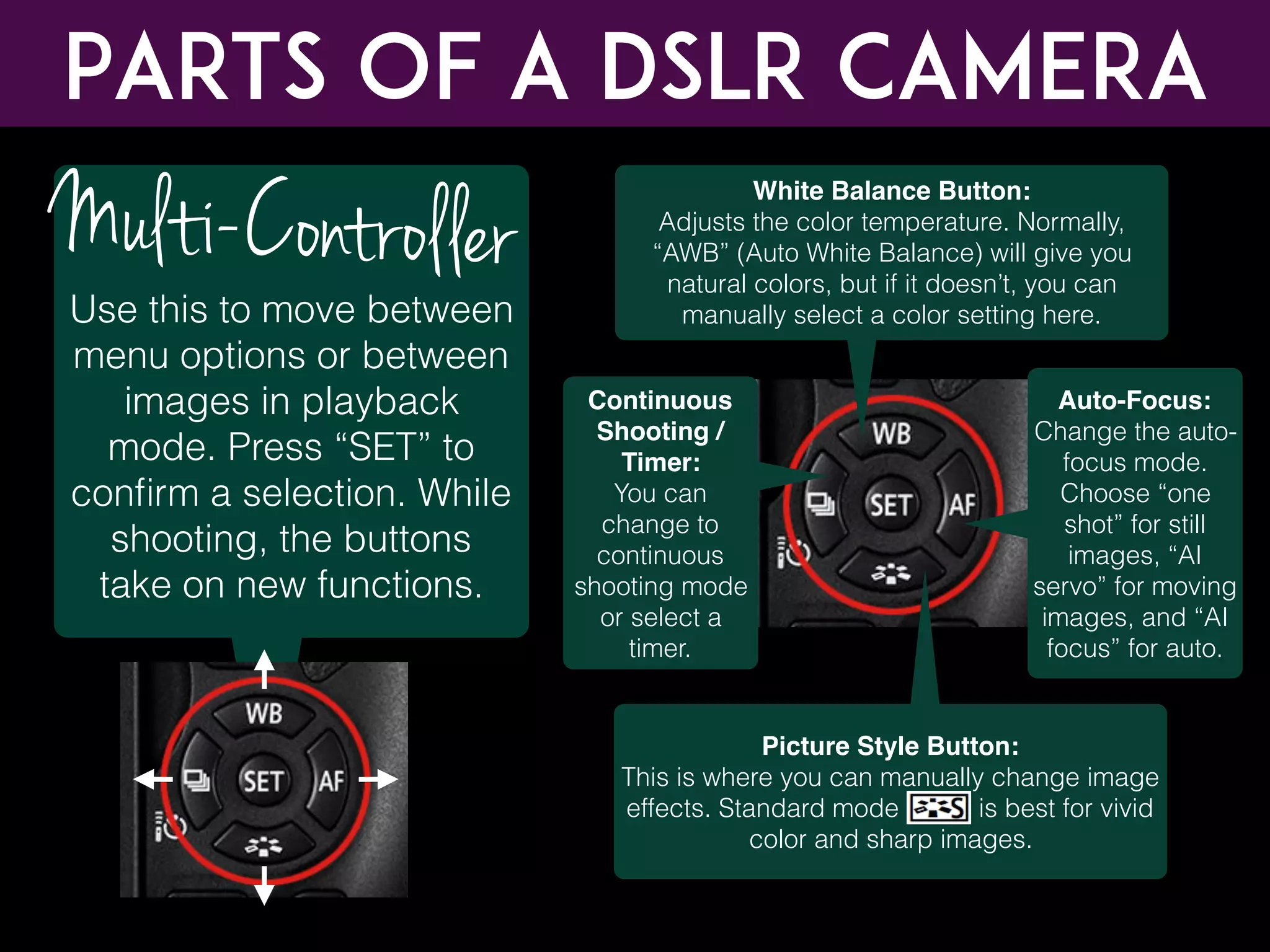 Use this to move between
menu options or between
images in playback
mode. Press “SET” to
conﬁrm a selection. While
shooting, the buttons
take on new functions.
Parts of a DSLR CAMERA
White Balance Button:
Adjusts the color temperature. Normally,
“AWB” (Auto White Balance) will give you
natural colors, but if it doesn’t, you can
manually select a color setting here.
Multi-Controller
Picture Style Button:
This is where you can manually change image
effects. Standard mode is best for vivid
color and sharp images.
Continuous
Shooting /
Timer:
You can
change to
continuous
shooting mode
or select a
timer.
Auto-Focus:
Change the auto-
focus mode.
Choose “one
shot” for still
images, “AI
servo” for moving
images, and “AI
focus” for auto.
 