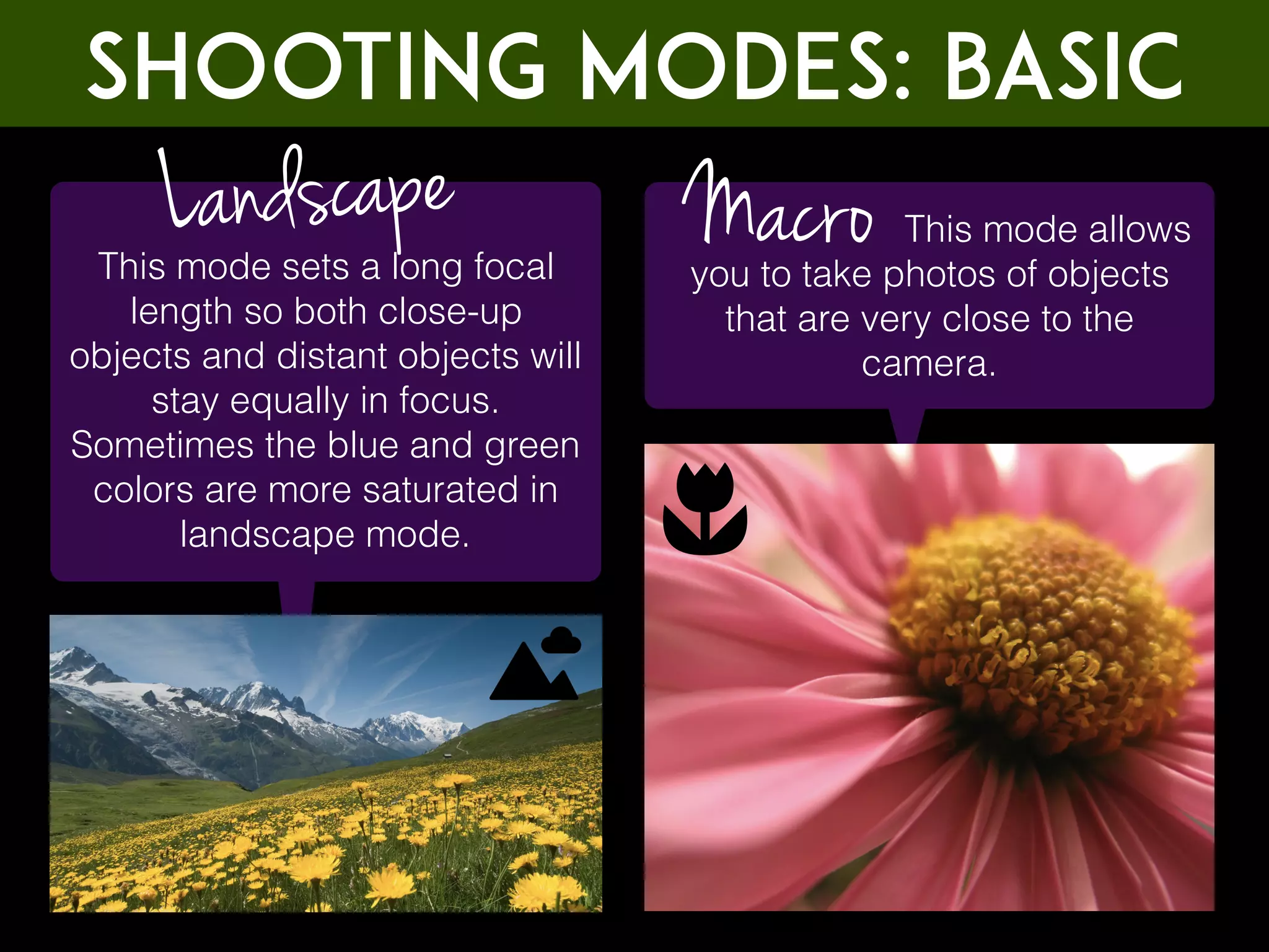 Shooting Modes: BASIC
This mode sets a long focal
length so both close-up
objects and distant objects will
stay equally in focus.
Sometimes the blue and green
colors are more saturated in
landscape mode.
Landscape This mode allows
you to take photos of objects
that are very close to the
camera.
Macro
 