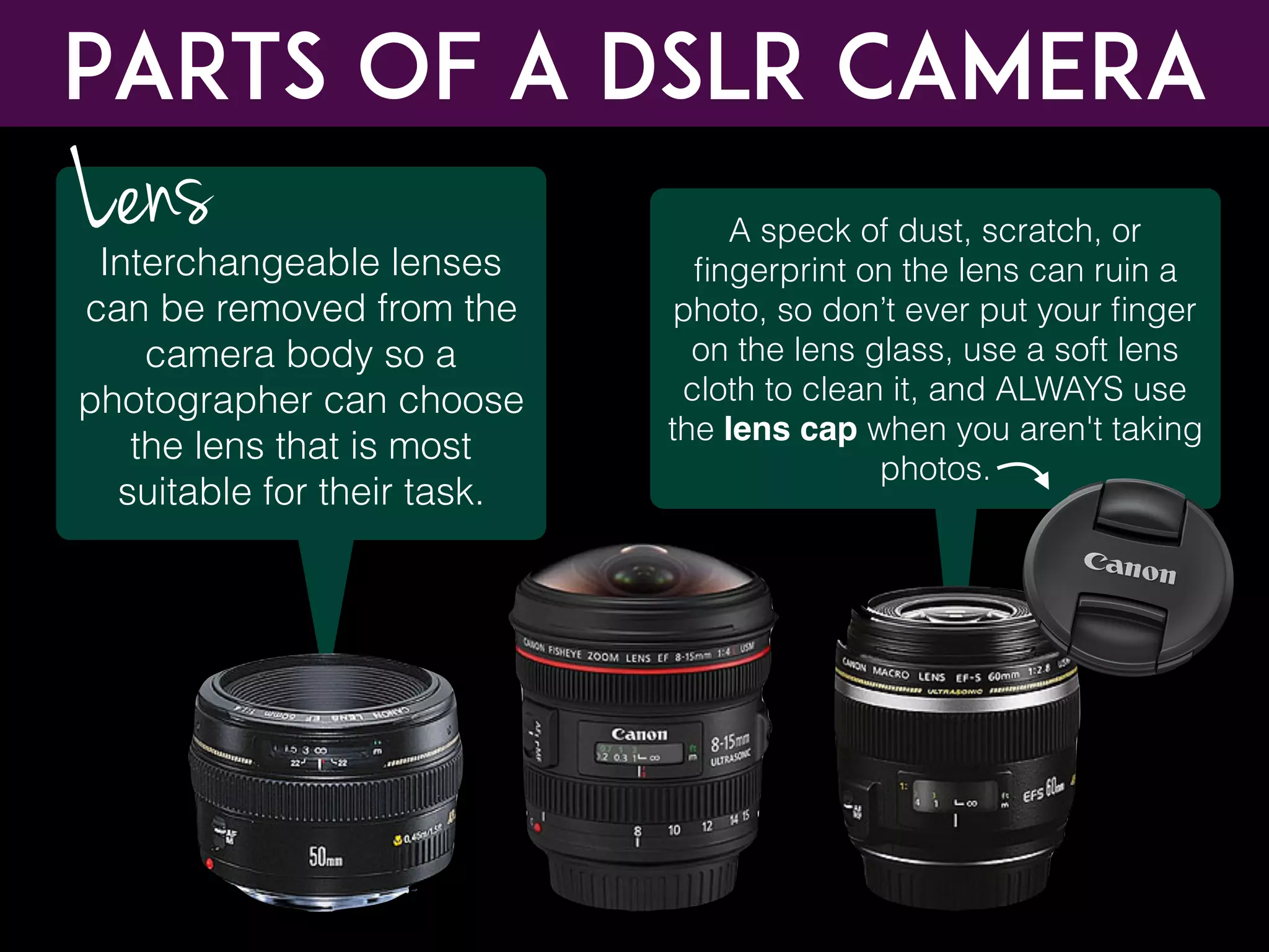 Interchangeable lenses
can be removed from the
camera body so a
photographer can choose
the lens that is most
suitable for their task.
Lens A speck of dust, scratch, or
ﬁngerprint on the lens can ruin a
photo, so don’t ever put your ﬁnger
on the lens glass, use a soft lens
cloth to clean it, and ALWAYS use
the lens cap when you aren't taking
photos.
Parts of a DSLR CAMERA
 