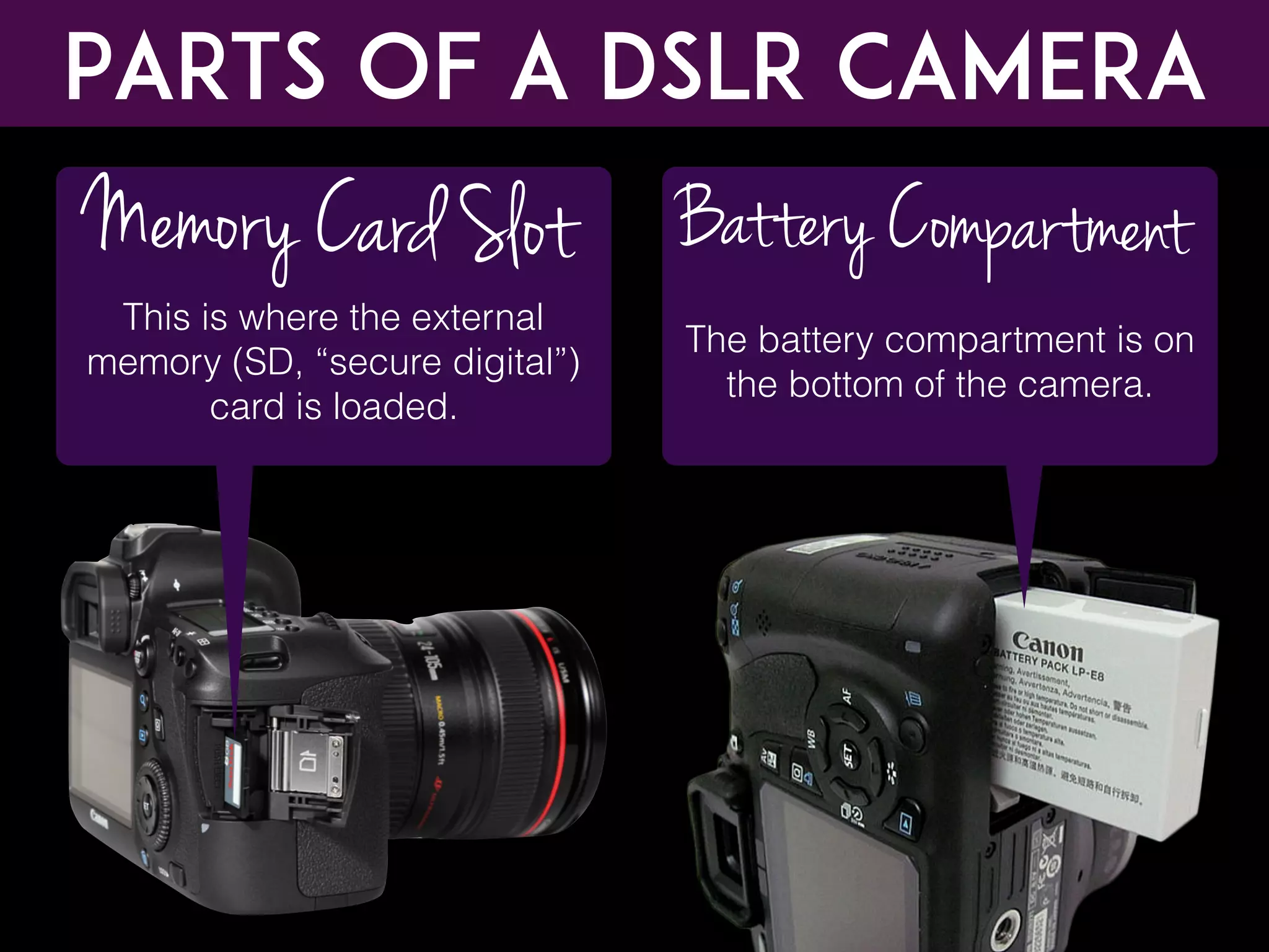This is where the external
memory (SD, “secure digital”)
card is loaded.
Memory Card Slot
Parts of a DSLR CAMERA
The battery compartment is on
the bottom of the camera.
Battery Compartment
 