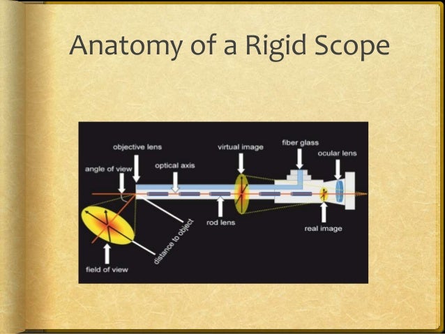 career objective for