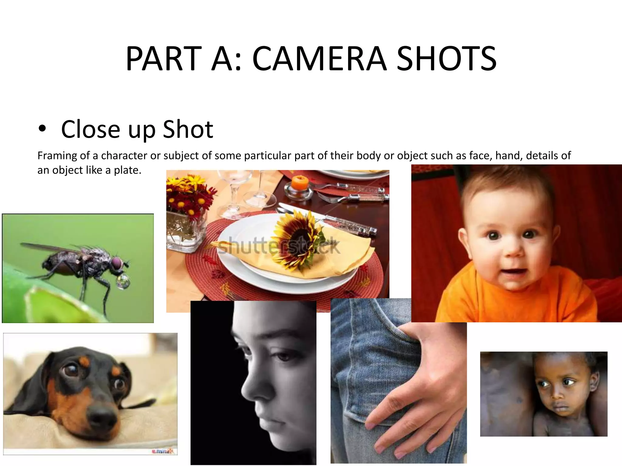 PART A: CAMERA SHOTS
• Close up Shot
Framing of a character or subject of some particular part of their body or object such as face, hand, details of
an object like a plate.
 