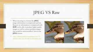 JPEG VS Raw
• When shooting in a format like JPEG
image information is compressed and lost.
Because no information is compressed with
RAW you're able to produce higher quality
images, as well as correct problem images
that would be unrecoverable if shot in the
JPEG format.
• http://photographyconcentrate.com/10-
reasons-why-you-should-be-shooting-raw/
 
