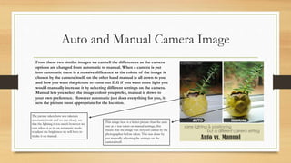 Auto and Manual Camera Image
From these two similar images we can tell the differences as the camera
options are changed from automatic to manual. When a camera is put
into automatic there is a massive difference as the colour of the image is
chosen by the camera itself, on the other hand manual is all down to you
and how you want the picture to come out E.G if you want more light you
would manually increase it by selecting different settings on the camera.
Manual lets you select the image colour you prefer, manual is down to
your own preference. However automatic just does everything for you, it
sets the picture most appropriate for the location.
This image here is a better picture than the auto
one as it was taken on manual settings, this
means that the image was slyly self edited by the
photographer before taken. This was done by
just manually adjusting the settings on the
camera itself.
The picture taken here was taken in
automatic mode and we can clearly see
that the lighting is too much however we
cant adjust it as its on automatic mode,
to adjust the brightness we will have to
retake it on manual.
 