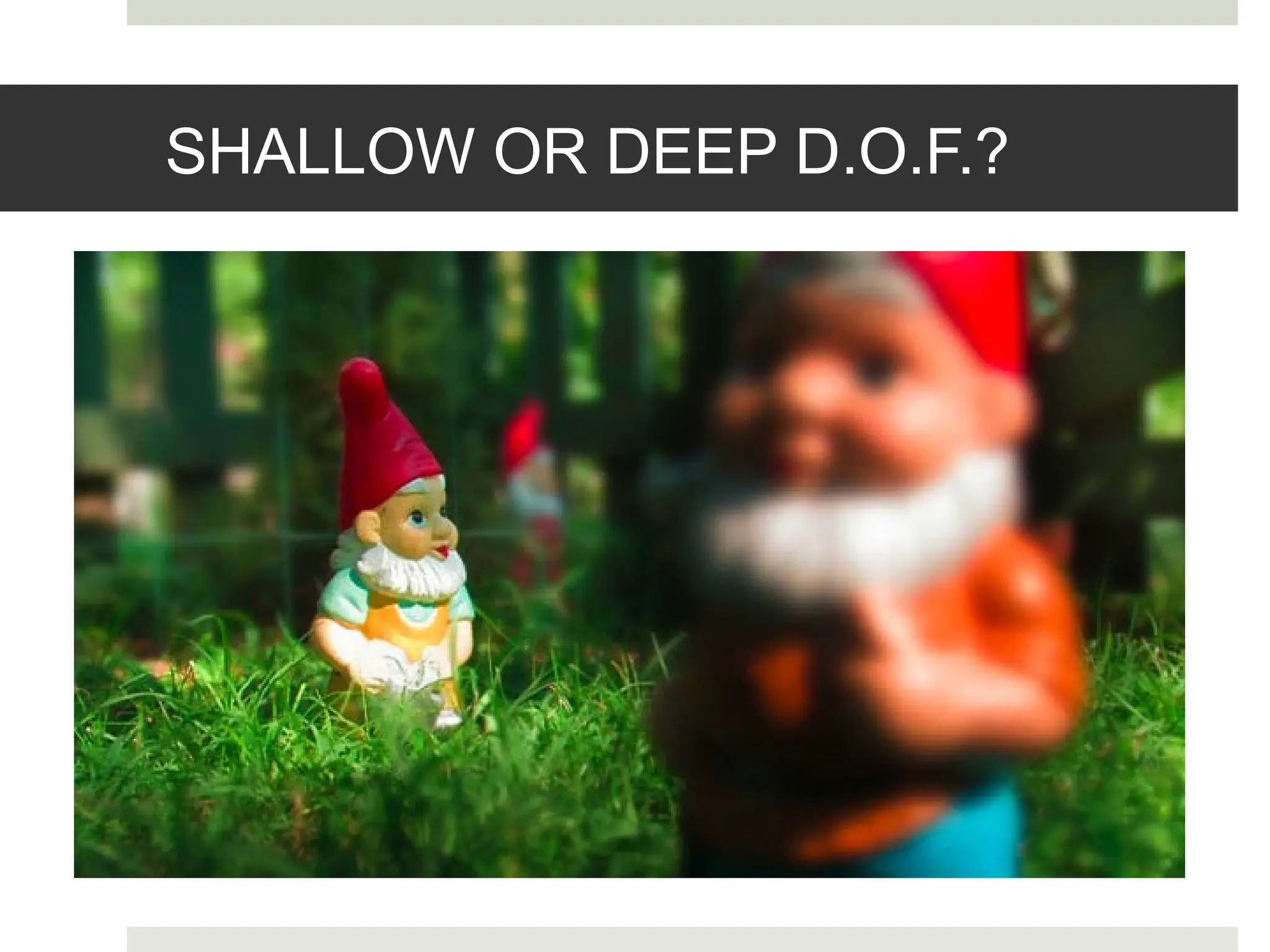 SHALLOW OR DEEP D.O.F.?
 