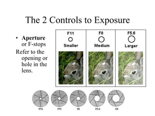The 2 Controls to Exposure
• Aperture
  or F-stops
Refer to the
  opening or
  hole in the
  lens.
 