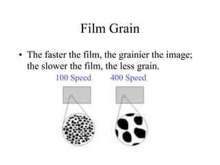 Film Grain
• The faster the film, the grainier the image;
  the slower the film, the less grain.
         100 Speed      400 Speed
 