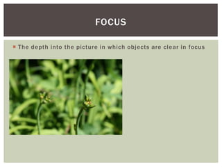  The depth into the picture in which objects are clear in focus
FOCUS
 