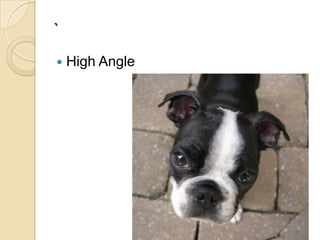 `


High Angle

 