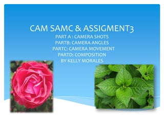 CAM SAMC & ASSIGMENT3
PART A : CAMERA SHOTS
PARTB: CAMERA ANGLES
PARTC: CAMERA MOVEMENT
PARTD: COMPOSITION
BY KELLY MORALES

 