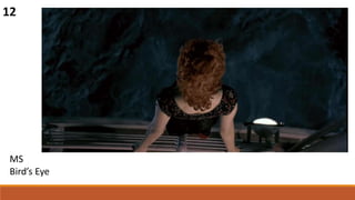 12
MS
Bird’s Eye
 