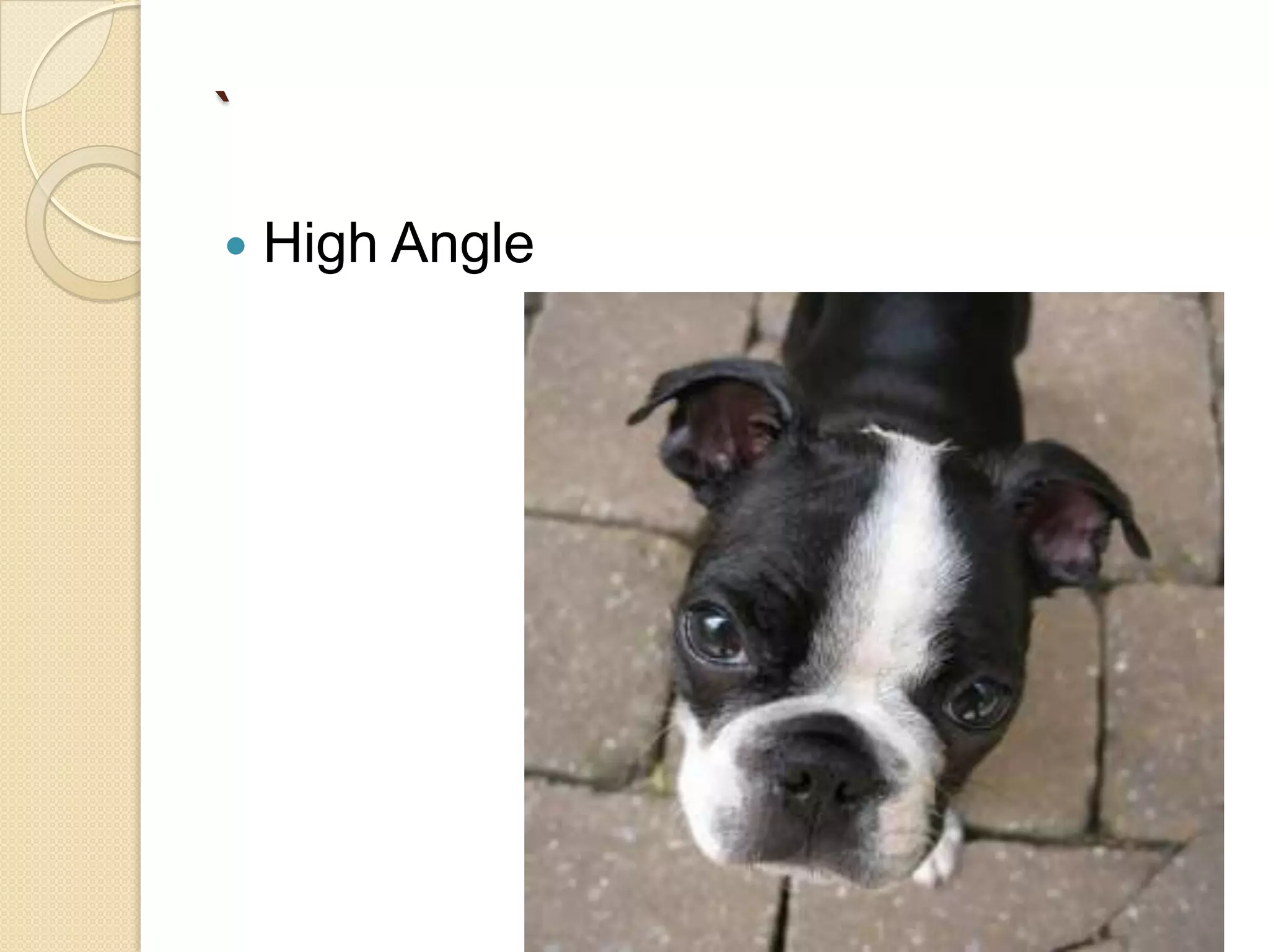 `
   High Angle
 