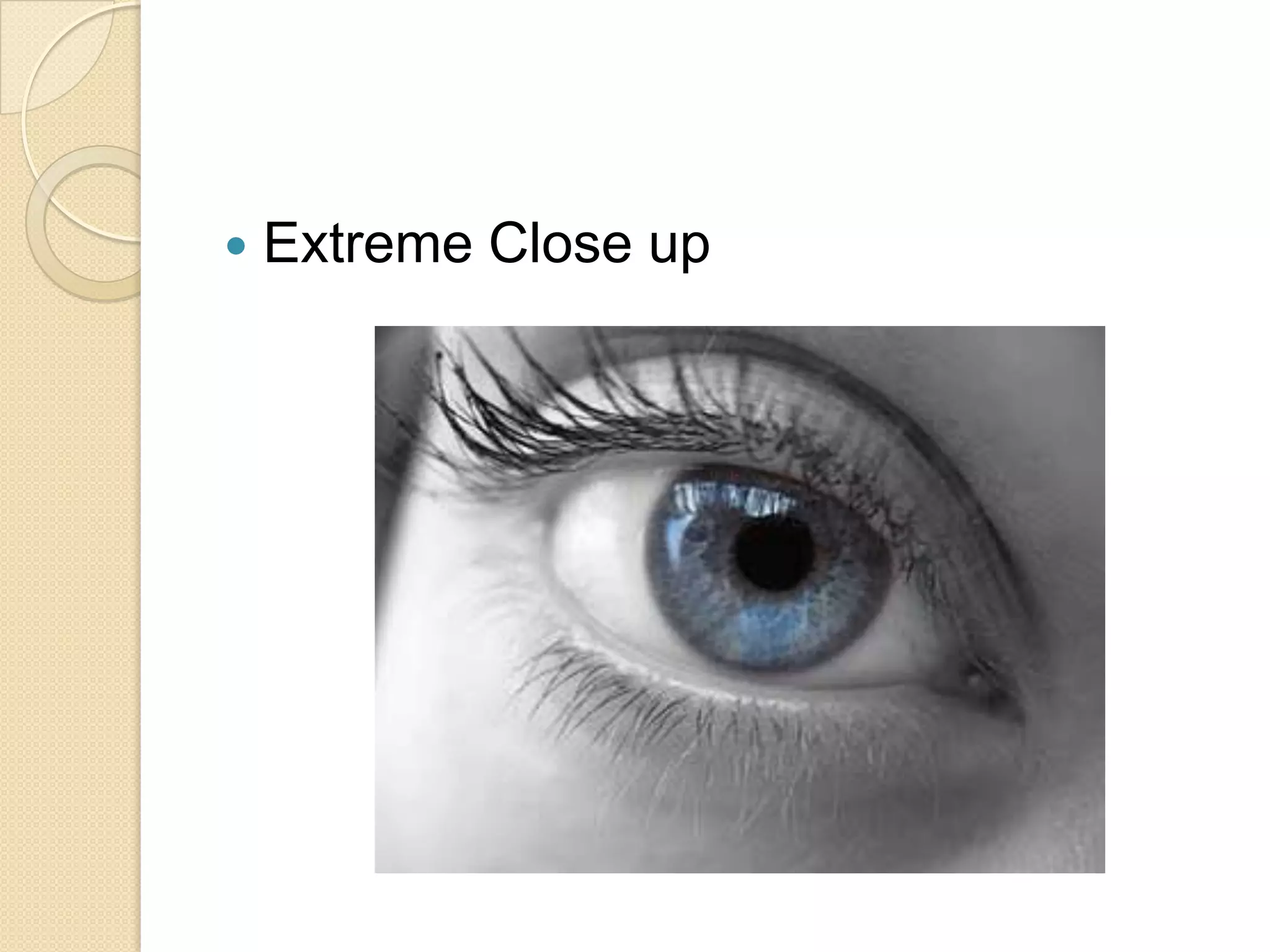    Extreme Close up
 