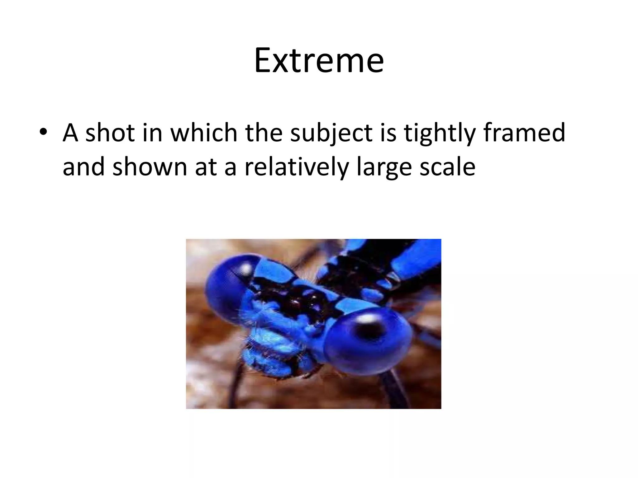 Extreme
• A shot in which the subject is tightly framed
and shown at a relatively large scale