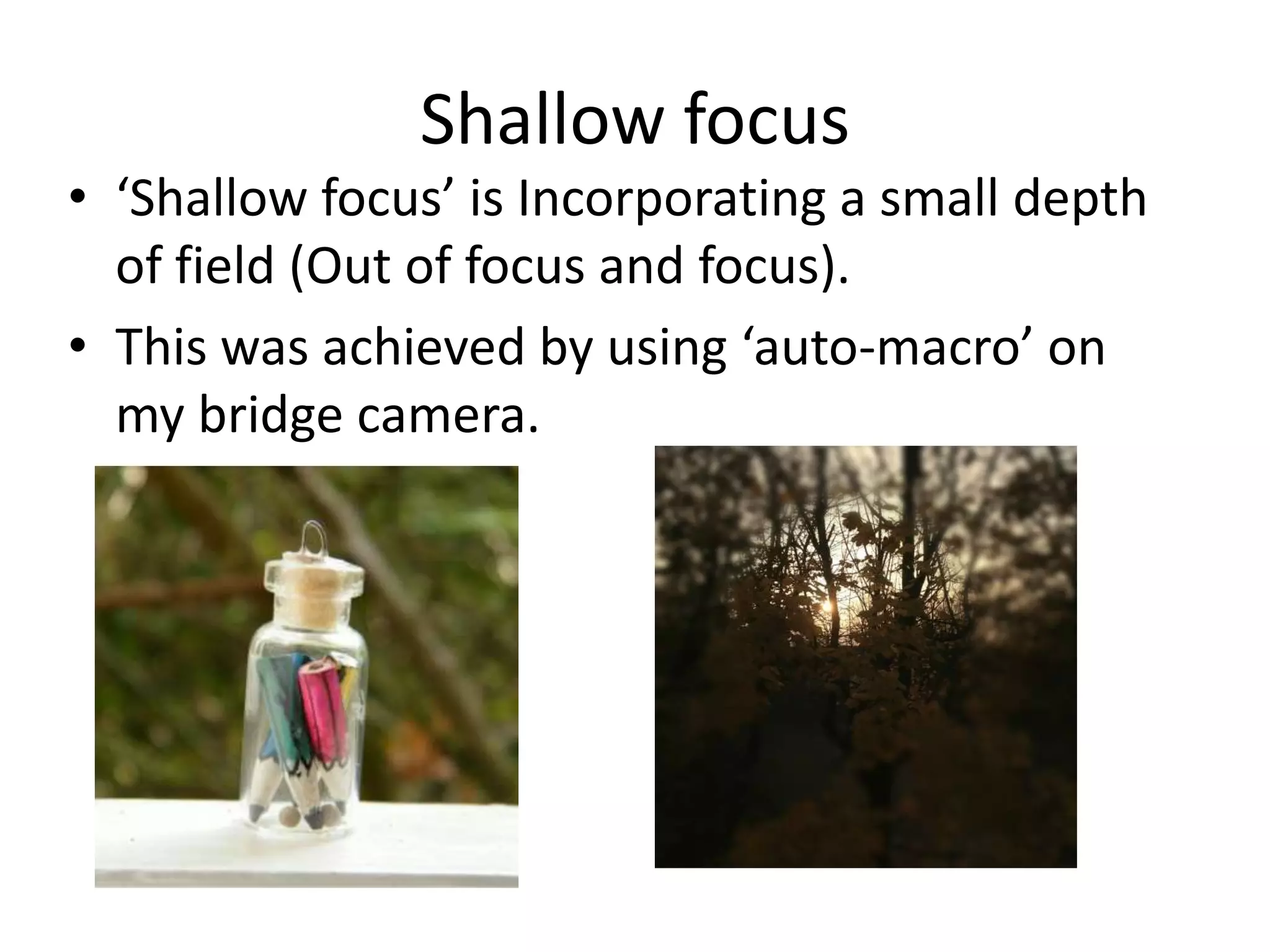 Shallow focus
• ‘Shallow focus’ is Incorporating a small depth
  of field (Out of focus and focus).
• This was achieved by using ‘auto-macro’ on
  my bridge camera.
 