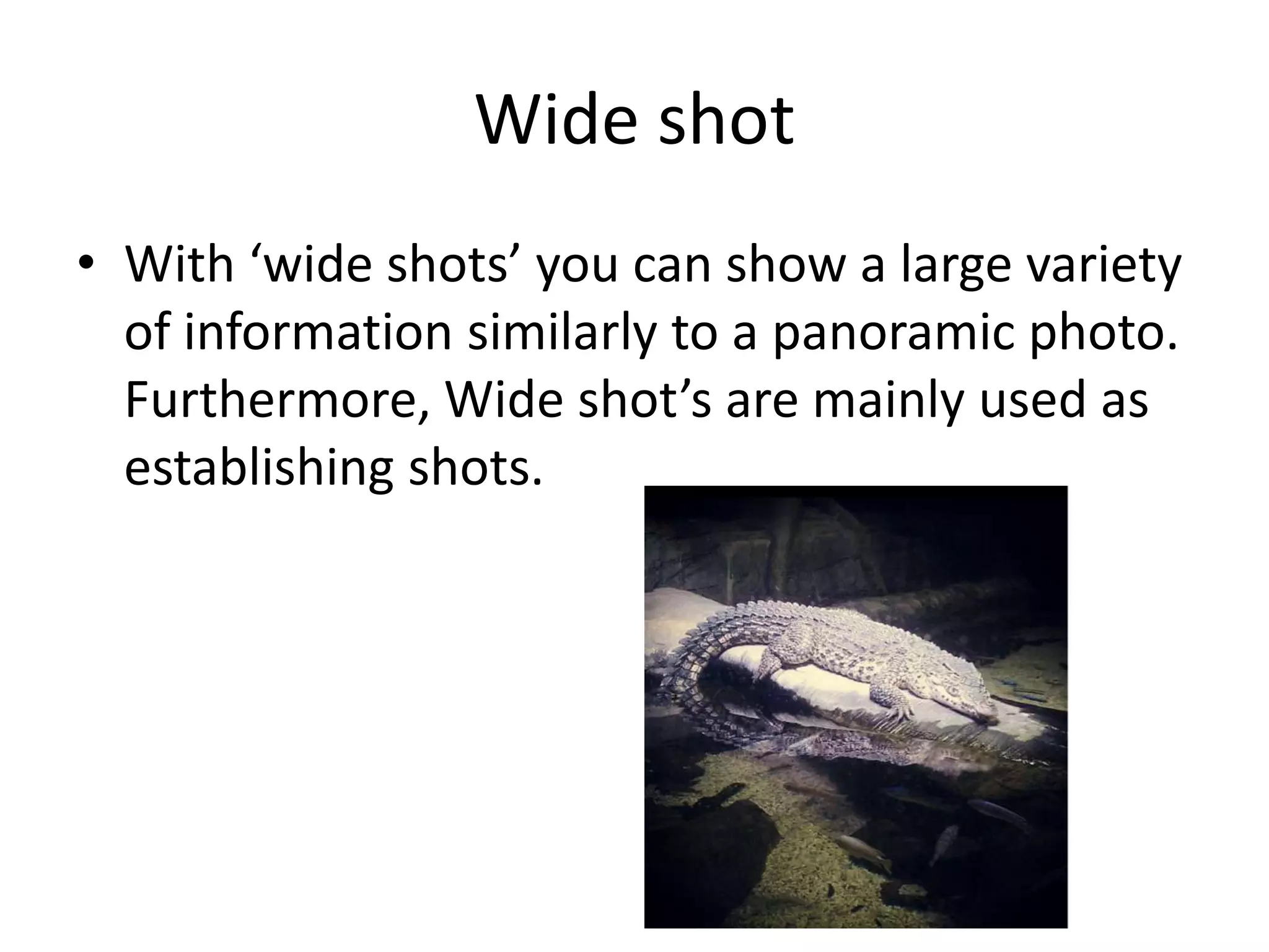 Wide shot
• With ‘wide shots’ you can show a large variety
  of information similarly to a panoramic photo.
  Furthermore, Wide shot’s are mainly used as
  establishing shots.
 