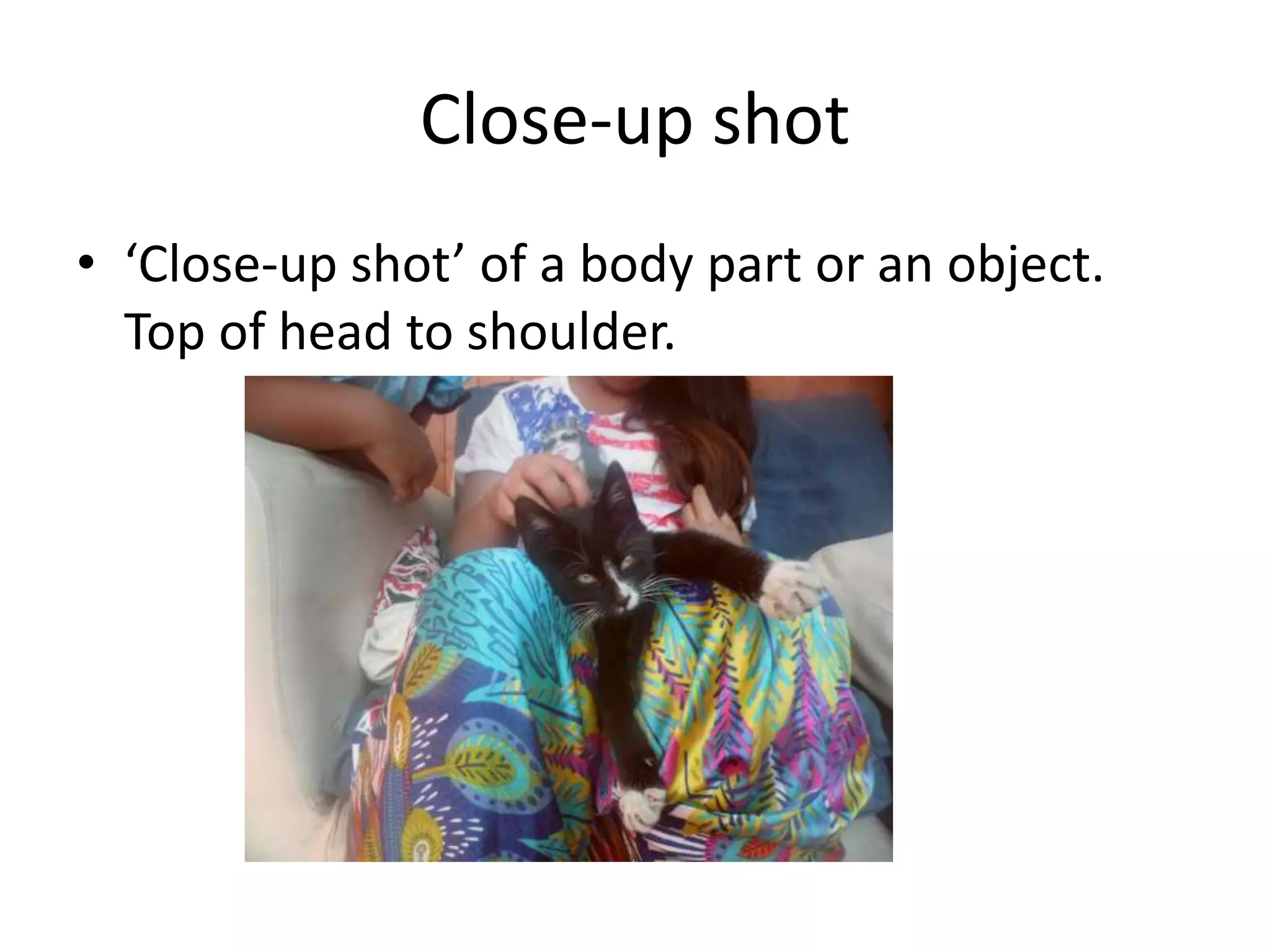 Close-up shot
• ‘Close-up shot’ of a body part or an object.
  Top of head to shoulder.
 