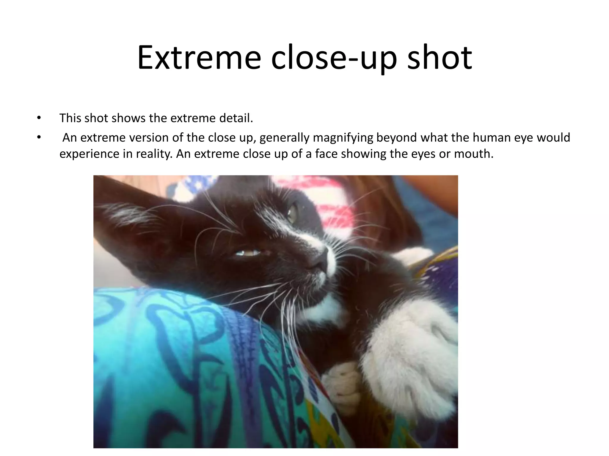 Extreme close-up shot
•   This shot shows the extreme detail.
•   An extreme version of the close up, generally magnifying beyond what the human eye would
    experience in reality. An extreme close up of a face showing the eyes or mouth.
 