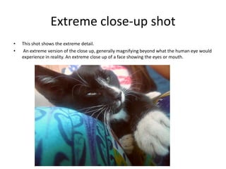 Extreme close-up shot
•   This shot shows the extreme detail.
•   An extreme version of the close up, generally magnifying beyond what the human eye would
    experience in reality. An extreme close up of a face showing the eyes or mouth.
 