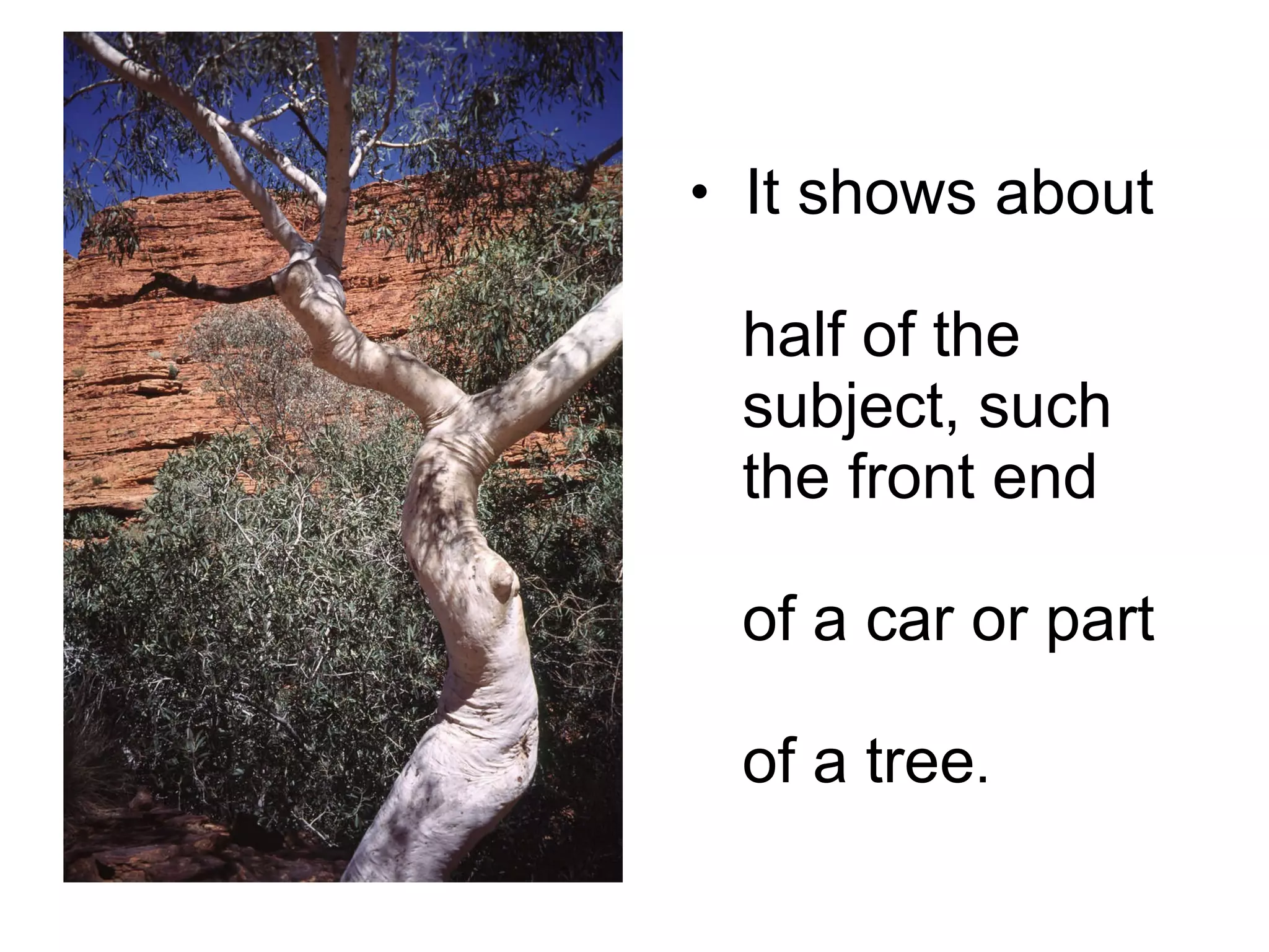 It shows about    half of the    subject, such    the front end    of a car or part    of a tree . 