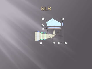 SLR