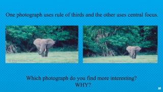 28
Which photograph do you find more interesting?
WHY?
One photograph uses rule of thirds and the other uses central focus.
 
