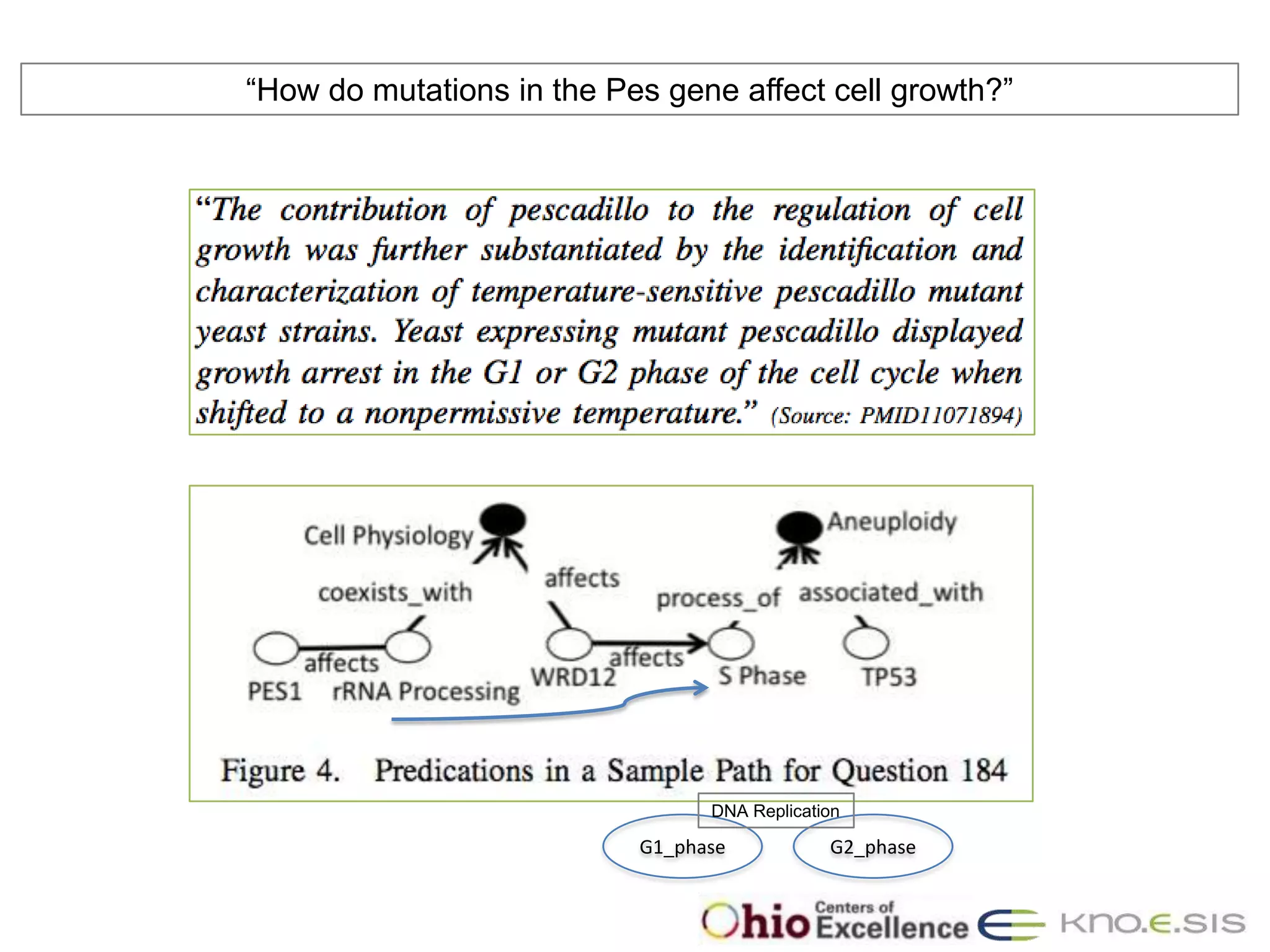 “How do mutations in the Pes gene affect cell growth?”




                                 DNA Replication

                           G1_phase           G2_phase
 