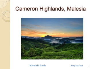 Cameron Highlands, Malesia 1 Memoria Finale                                                Wong See Huat 