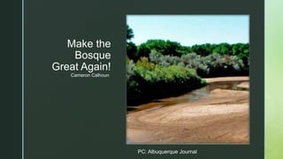 z
Make the
Bosque
Great Again!
Cameron Calhoun
PC: Albuquerque Journal
 
