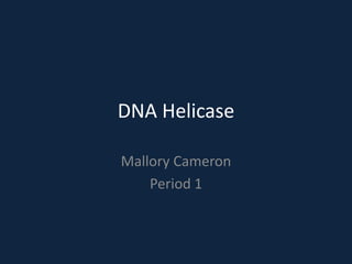DNA Helicase
Mallory Cameron
Period 1

 