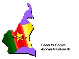 Sahel to Central African Rainforests 